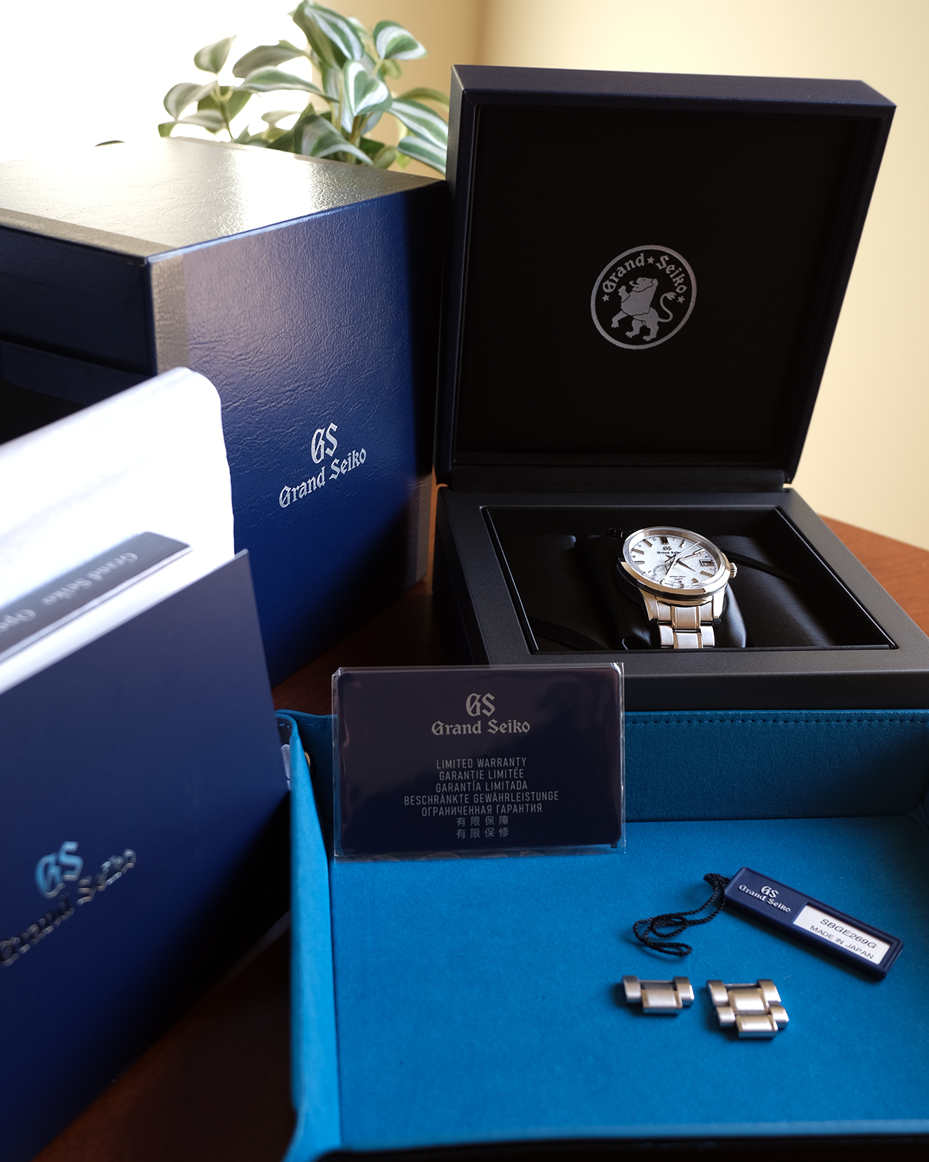 Elegance GMT Tōji
