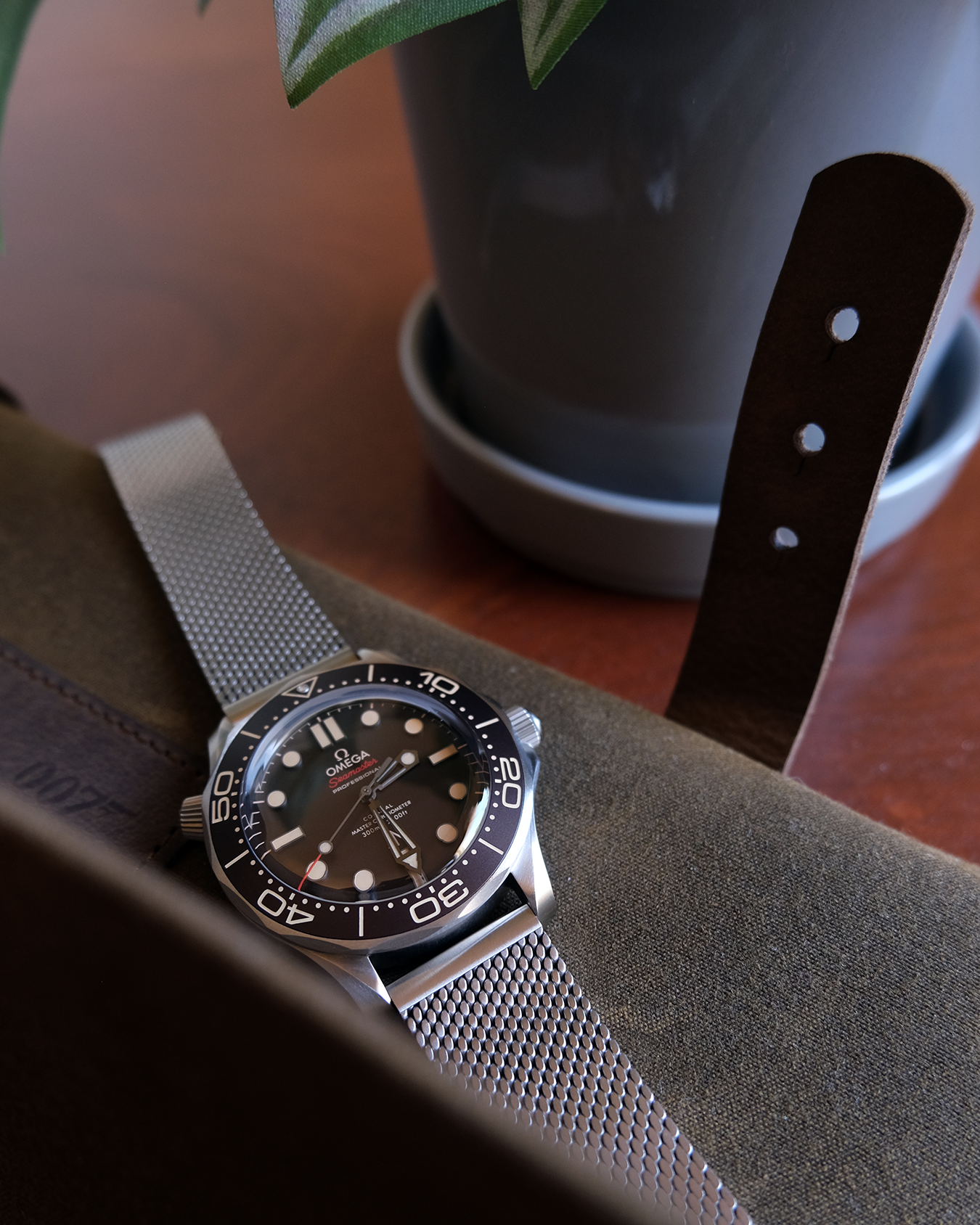 Seamaster Diver 300M 007 Edition